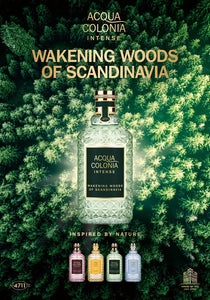 cologne intense - wakening woods of scandinavia - 170ml
